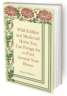 Home Doctor - Bonus 1